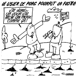 Le lisier de porc pourrit la flotte